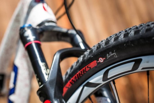 Ruote Roval Control Sl 29 E Gomme Specialized S-Works Fast Trak.