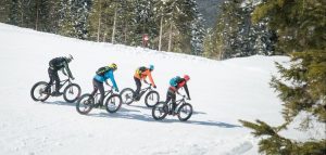 Dolomiti Paganella Bike Area: Un Inverno In Fatbike