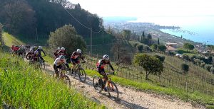 Bardolino Bike 2022: Le Classifiche Complete Dei Due Percorsi